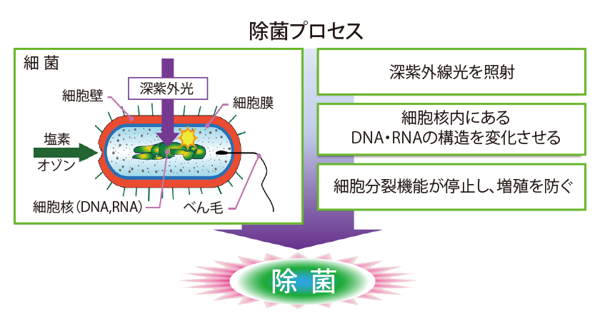 除菌プロセス