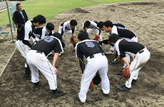 野球部の画像2