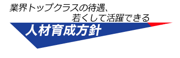 業界トップクラスの待遇、若くして活躍できる人材育成方針